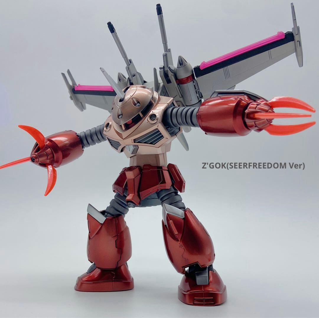 HG ズゴック 機動戦士ガンダムSEED FREEDOM 全塗装　完成品