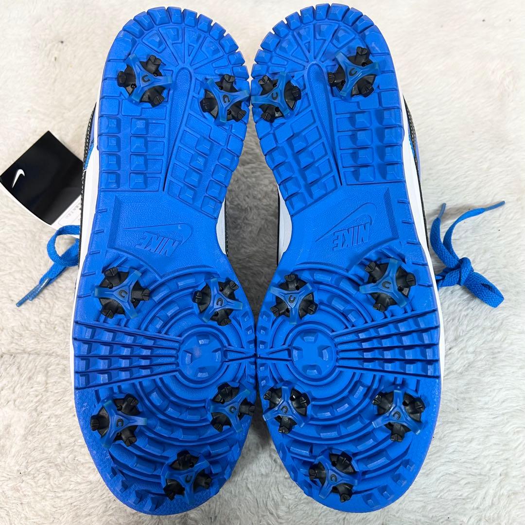 未使用❗️NIKE GOLF DUNK LOW NG SL ゴルフシューズ　25