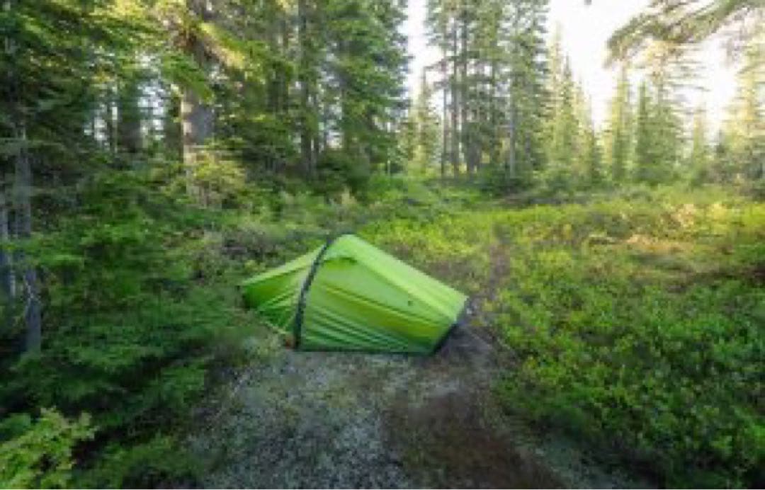 Hilleberg Akto テント グリーン　30周年モデル　他