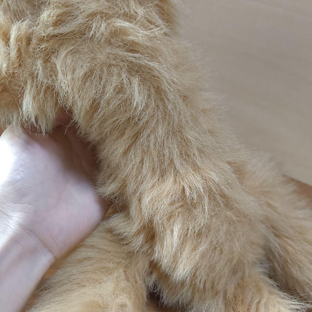 昭和レトロ 希少 レア オオイケ イリオモテヤマネコ ねこ　Oike