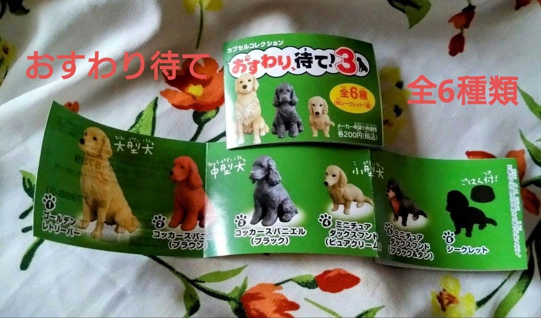 未使用　未開封　カプセルコレクション　おすわり待て!　全6種、ダックスフンド等