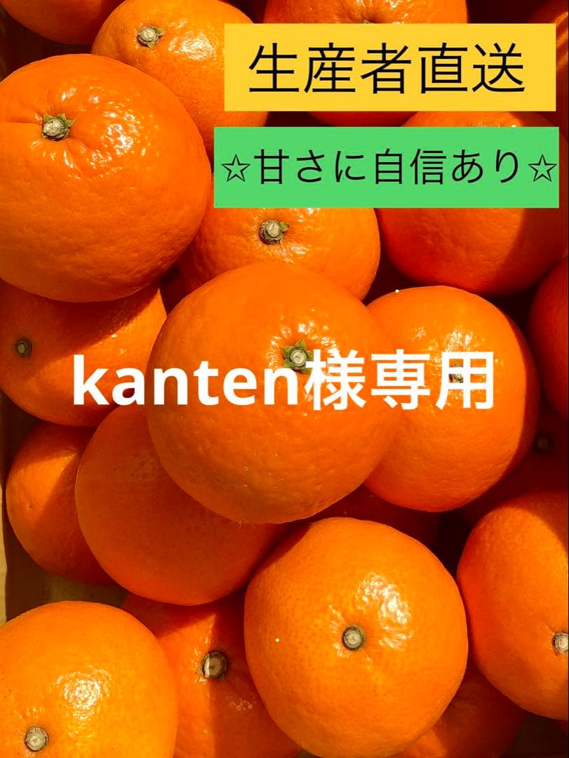 専用出品です。