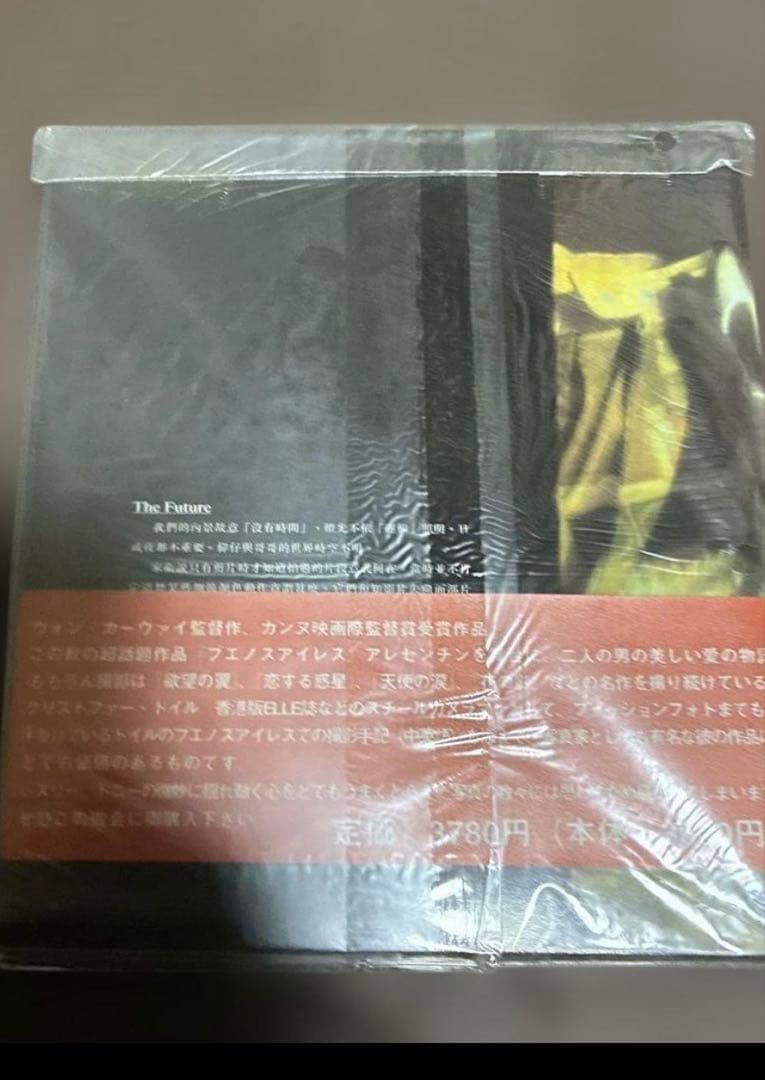 ‼️超希少‼️春光乍洩ブエノスアイレス撮影手記写真集レスリー・チャン/トニー・レオン