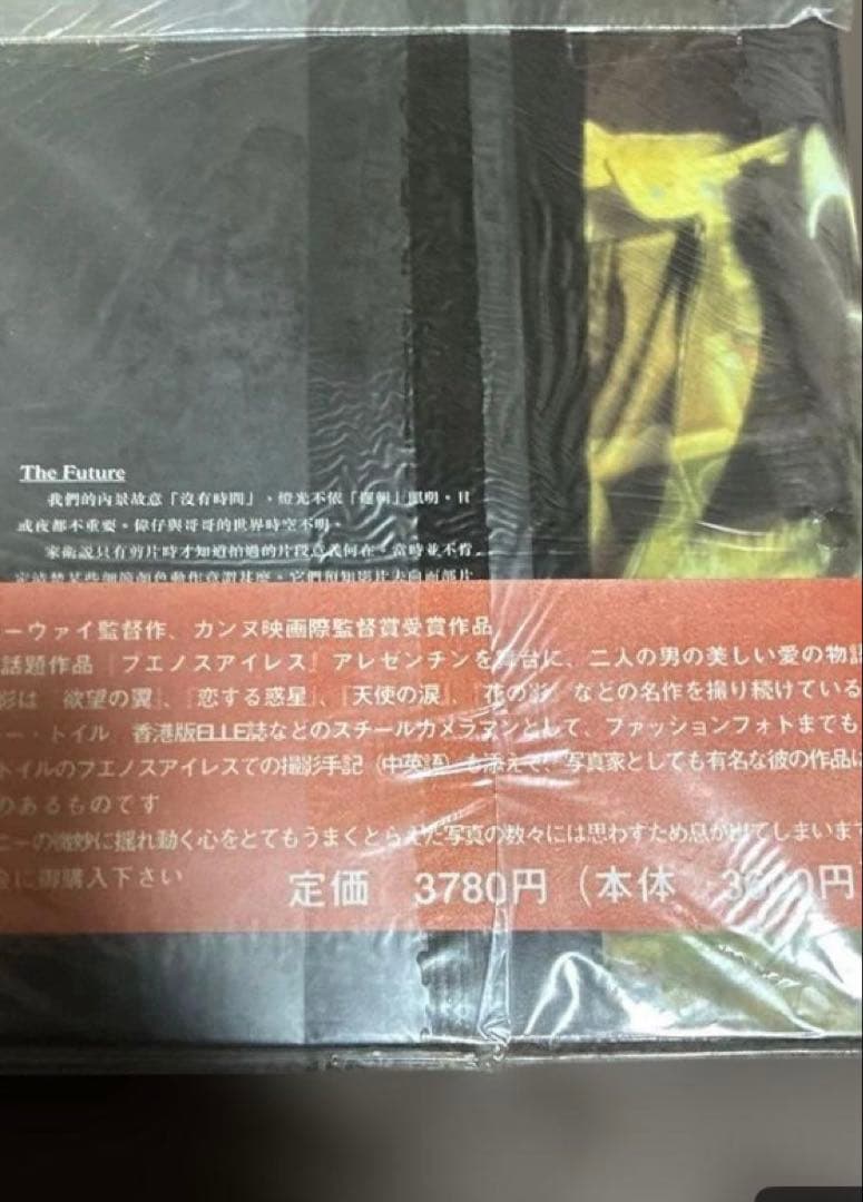 ‼️超希少‼️春光乍洩ブエノスアイレス撮影手記写真集レスリー・チャン/トニー・レオン