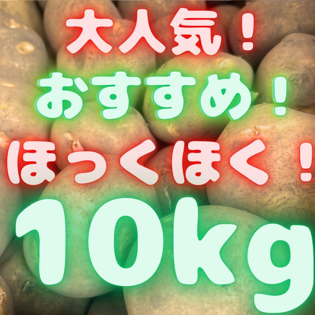 特大　馬鈴薯　じゃがいも　玉ねぎもあるよ　02