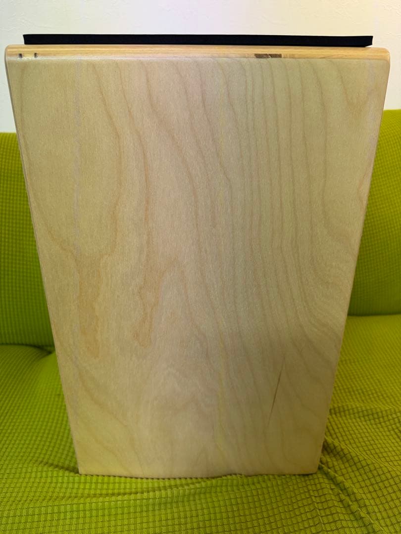 DG de Gregorio カホン　ケース・クッション付き　 打楽器　極美品