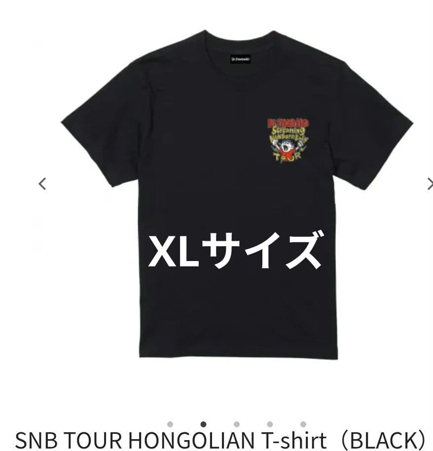 ハイスタンダード SNBツアー Tシャツ ブラック XL ハイスタ