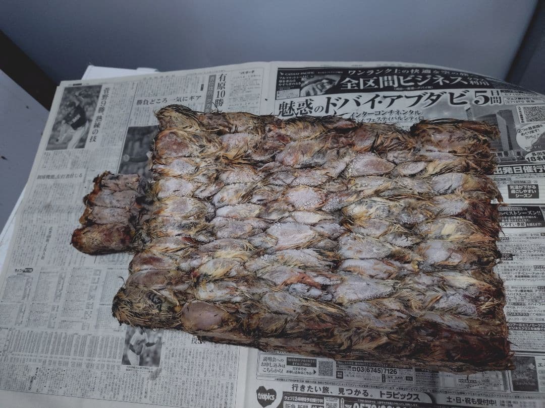 送料無料　訳あり冷凍処理済み親ウズラ200羽 ピンクS10匹冷凍コオロギサービス