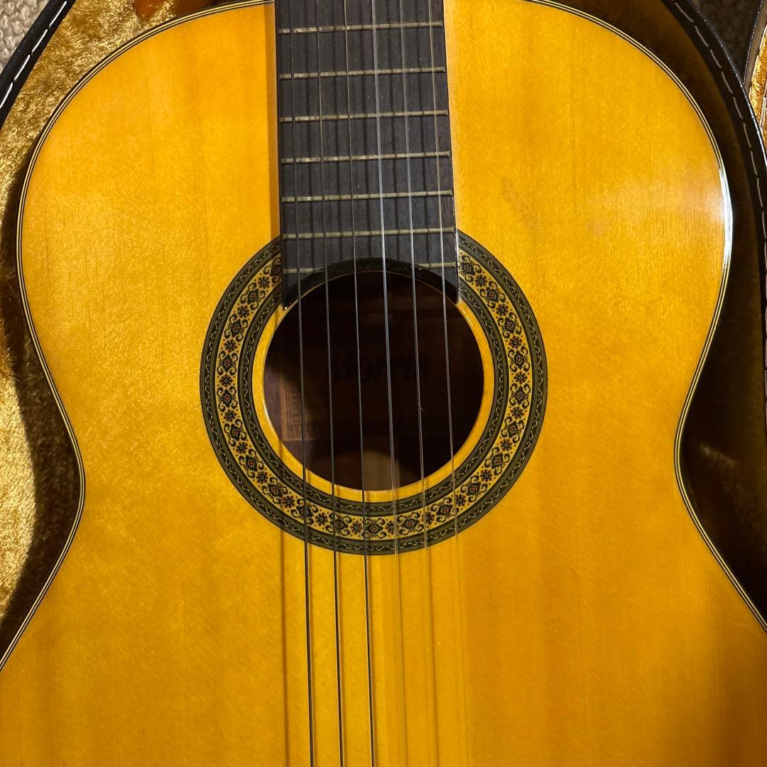 Morris (モーリス) M-25アコースティックギター