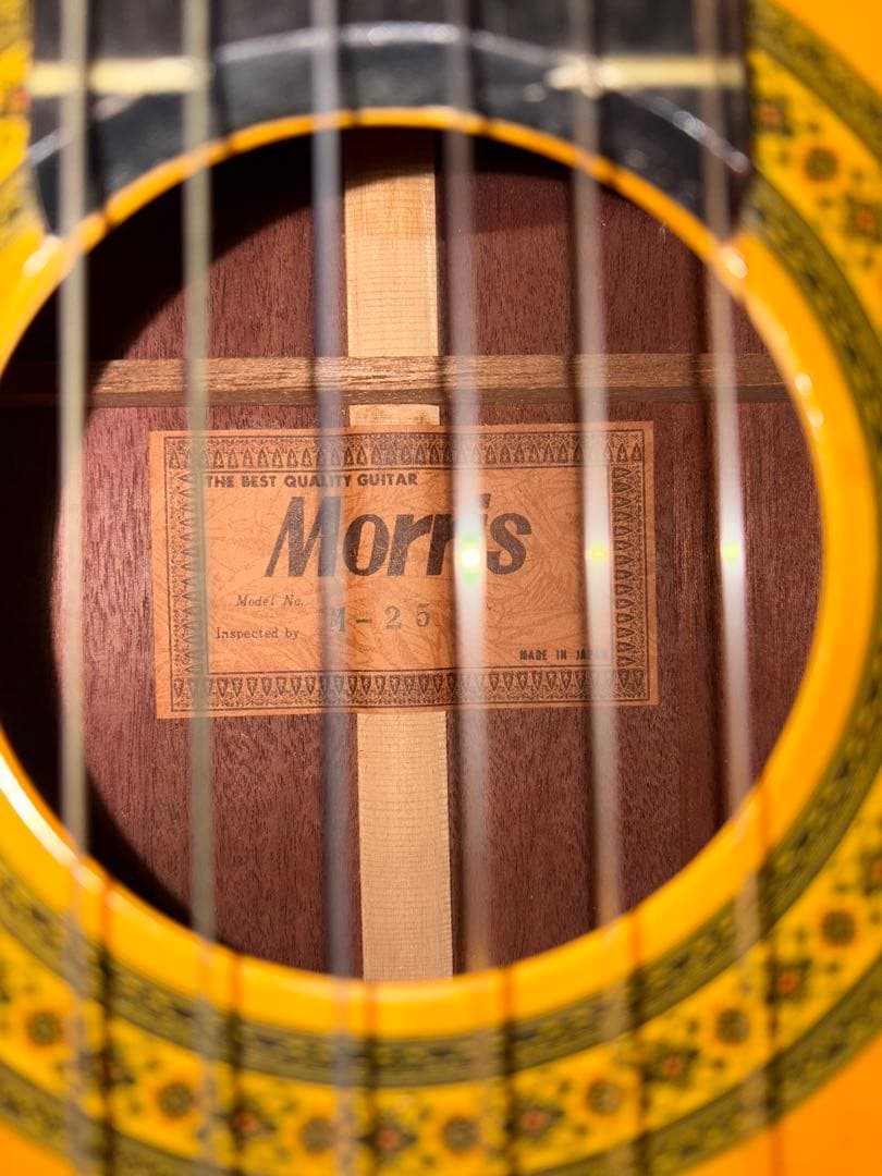 Morris (モーリス) M-25アコースティックギター