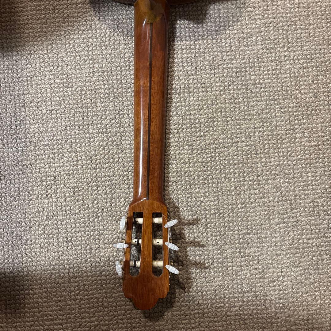 Morris (モーリス) M-25アコースティックギター