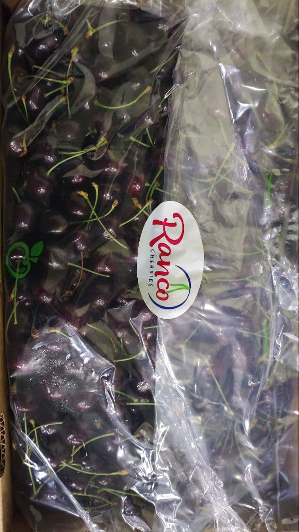 アメリカンチェリー　5キロ