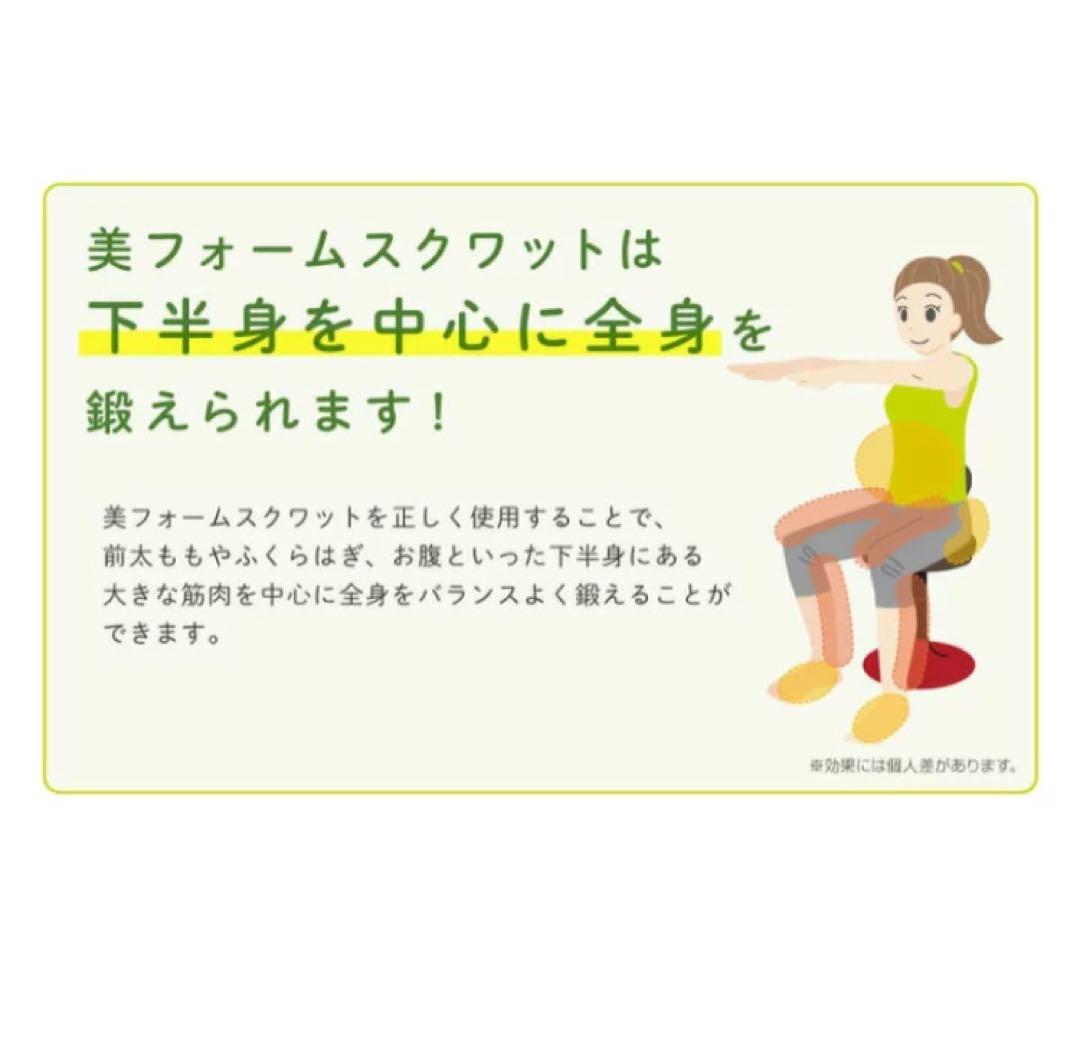 保阪尚輝 監修 美スクワット スクワット椅子マシン 上下運動 引き取り限定