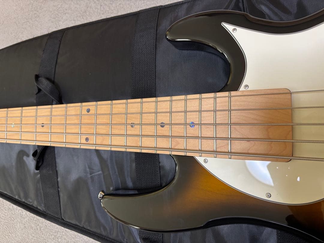 E-LW-135Ｍedwards 5弦ベース　ikuoモデル　美品エレキベース