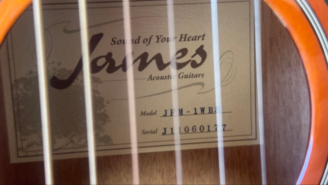 James JFM-1WBS ミニアコースティックギター ソフトケース付き