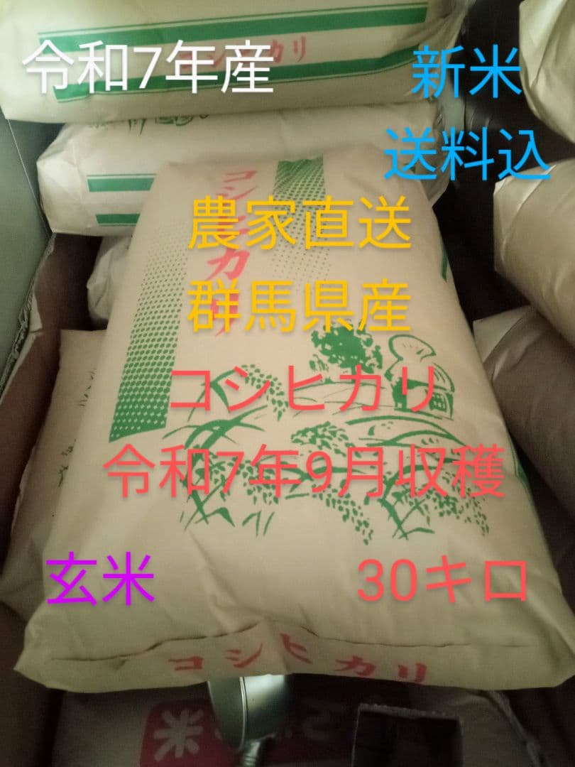 R7年産 新米 群馬県産 コシヒカリ 30キロ 玄米 送料込 ②