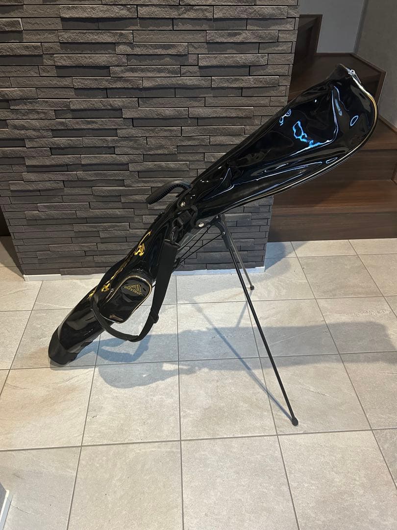 ダンスウィズドラゴン　セルフスタンドバック