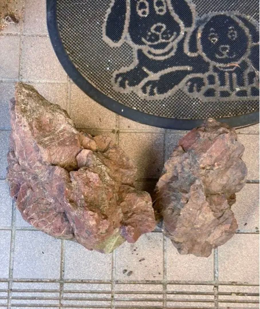 赤玉石　アクアリウム　ADA 石組レイアウト　水石　鑑賞石　庭石　佐渡　盆石