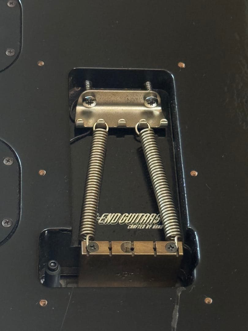 MUSICMANAXIS EX HI-END GUITAR 朝日木工 神田商会