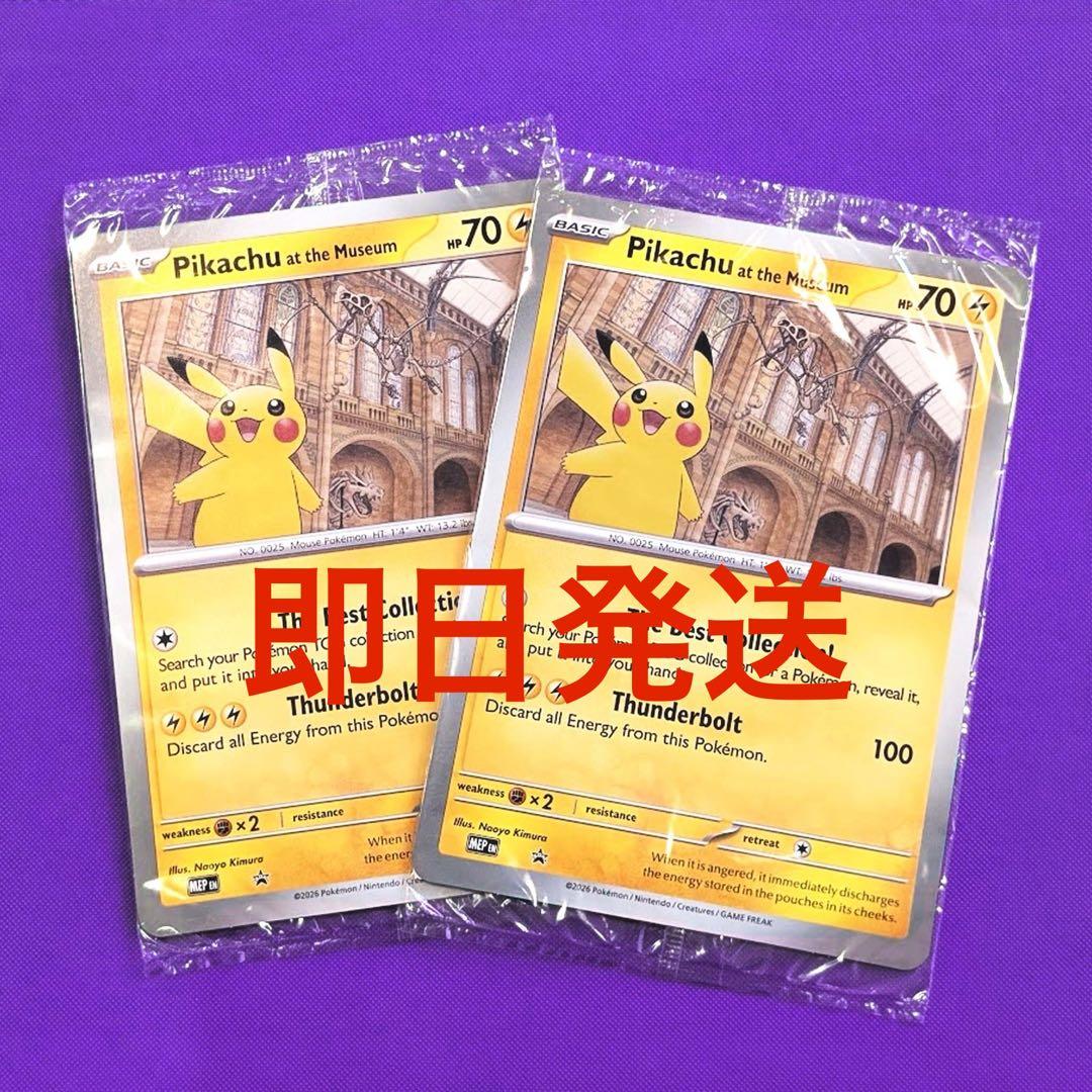 2枚セット Pikachu at the Museum ピカチュウ 自然史博物館