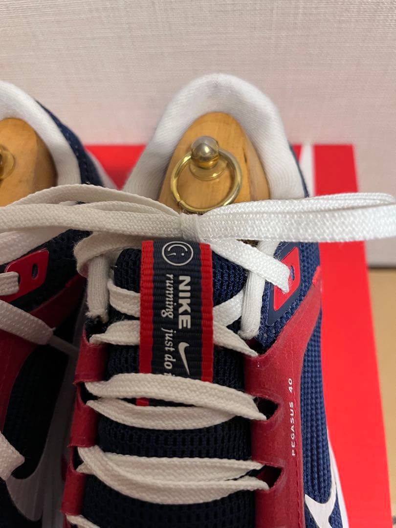 【希少】25.5CM値下げ　限定Nike Pegasus 40 PSG
