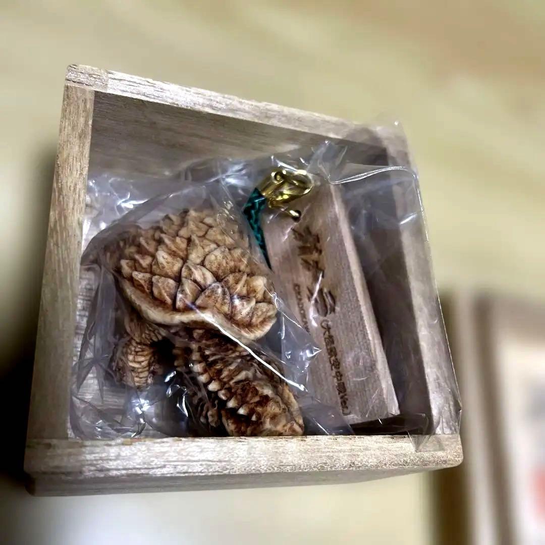 怪獣根付「ガメラ」