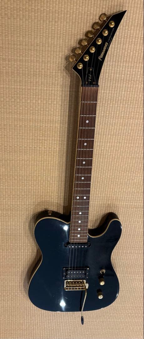 FERNANDES TEJ-55G リミテッドエディション