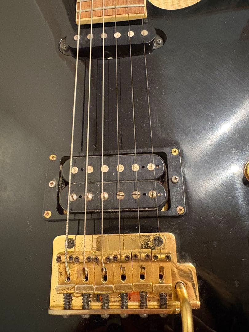 FERNANDES TEJ-55G リミテッドエディション