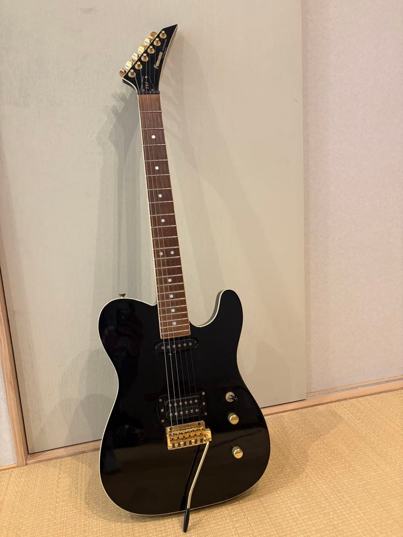 FERNANDES TEJ-55G リミテッドエディション