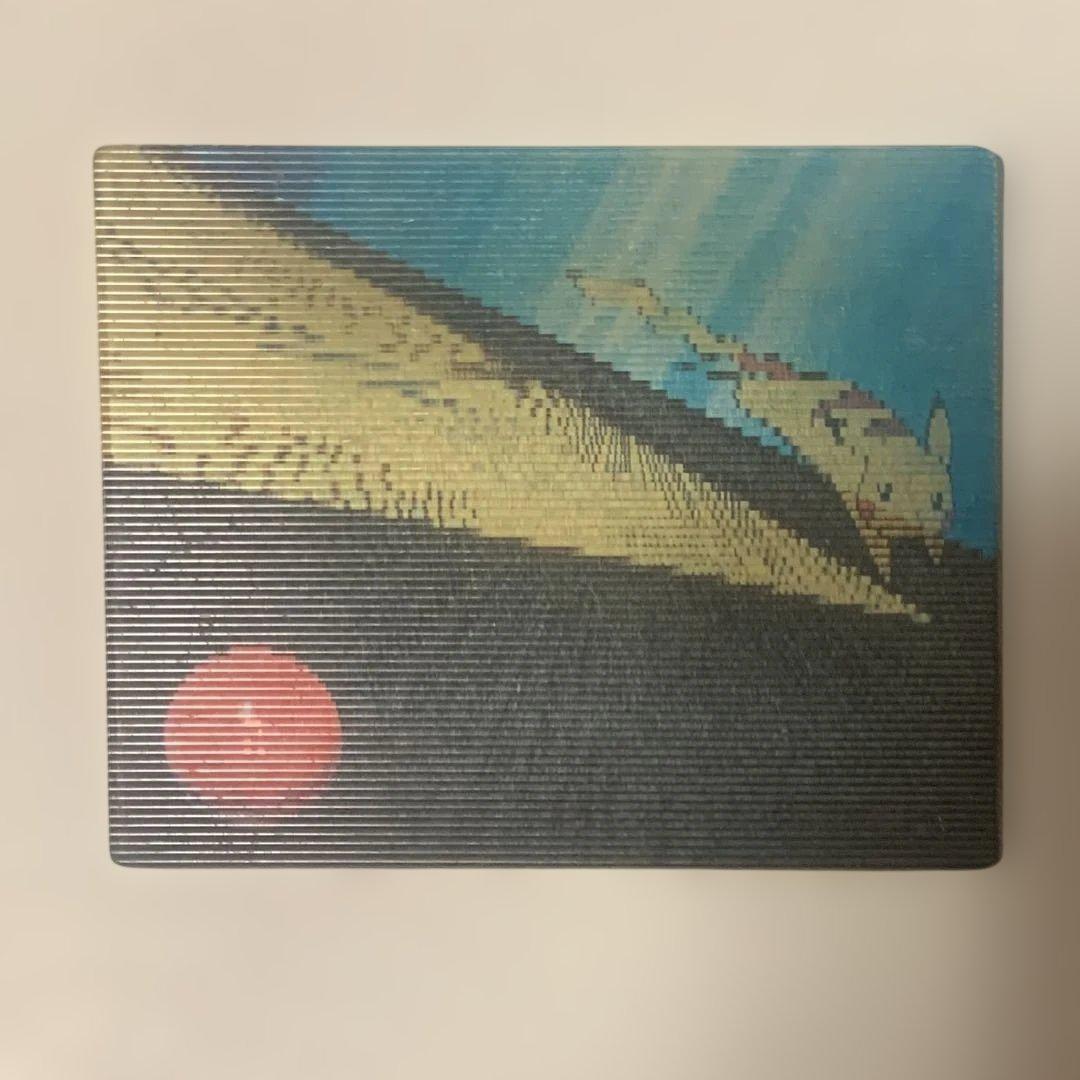 3D ポケモン 貴重 レア カラカラ ピカチュウ