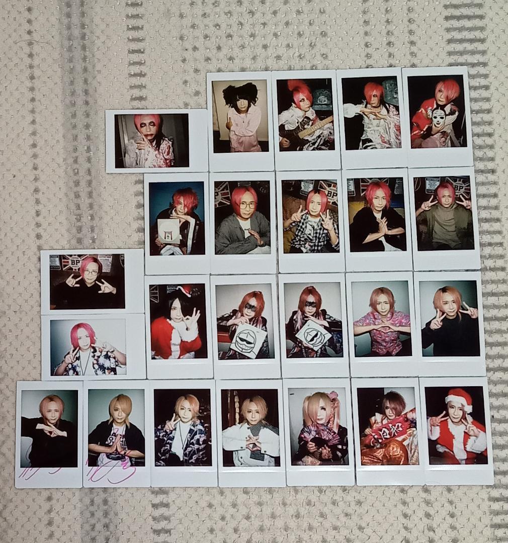 己龍 一色日和 チェキ