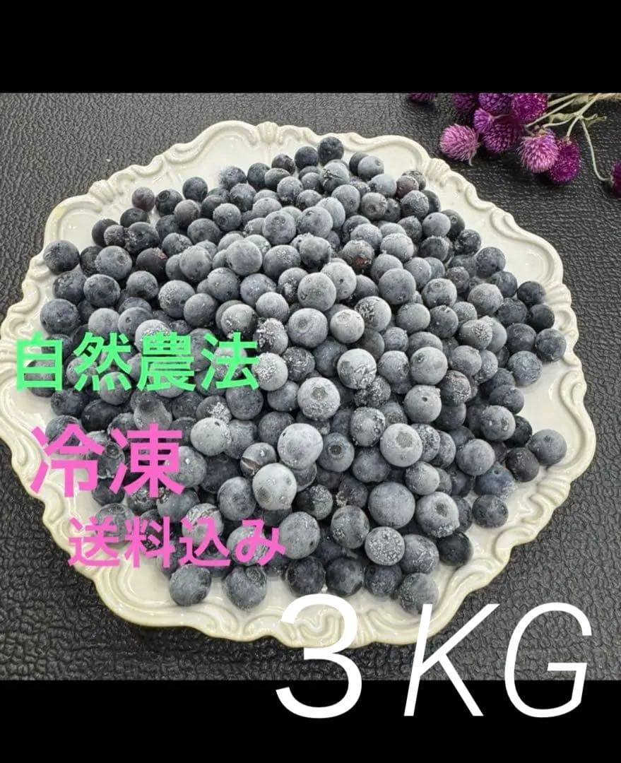 冷凍　ブルーベリー　　栽培期間中、農薬・化学肥料不使用 3キロ