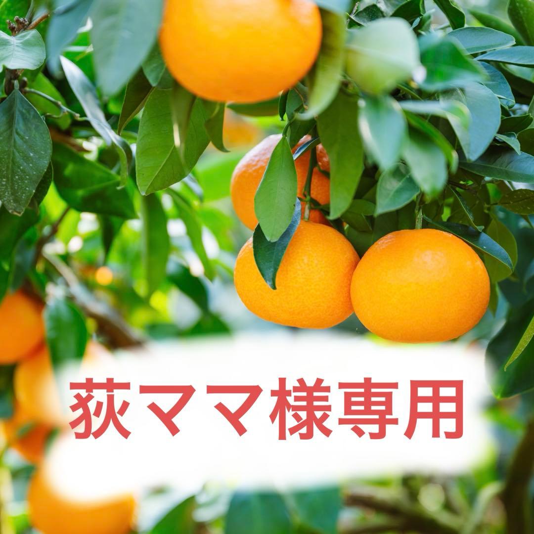 荻ママ　愛果28号　3kg3箱