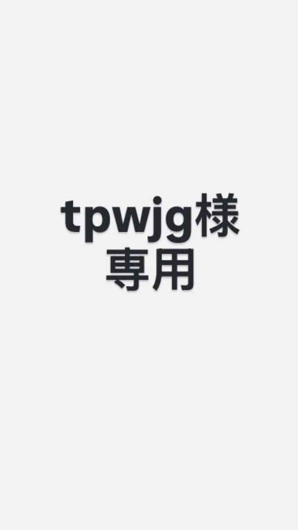 〔美品〕ジブリ 天空の城ラピュタ ウォータープランター 未使用品