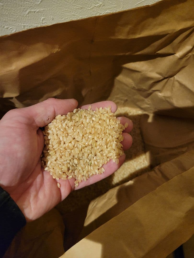 長野県コシヒカリ玄米30kg