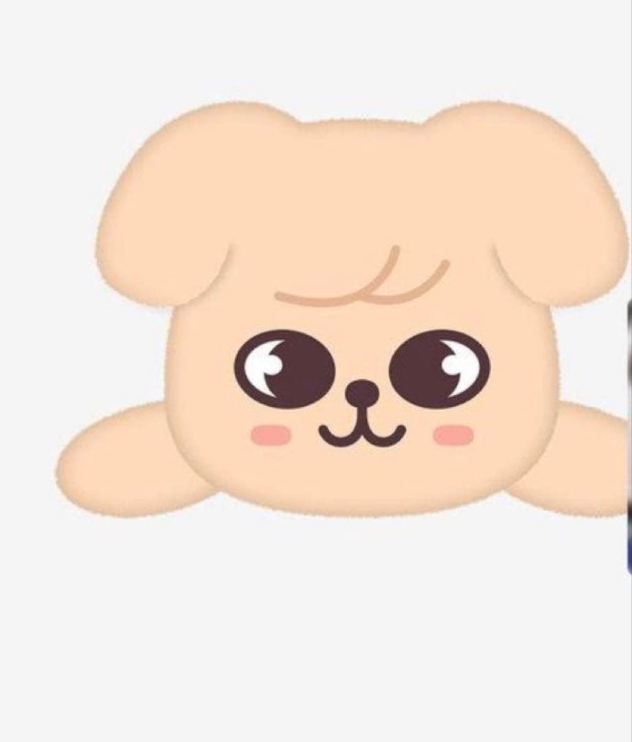 StrayKids celebrATE POPUP スンミン メンプロ パピーム