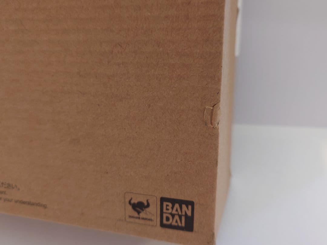 魂ウェブ限定　ROBOT魂　 ズゴックE 　ver. A.N.I.M.E.