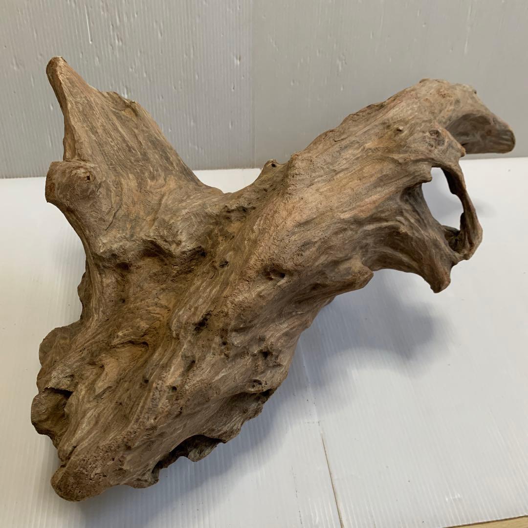 アク抜き済み流木　No.050 .039.031.239.393