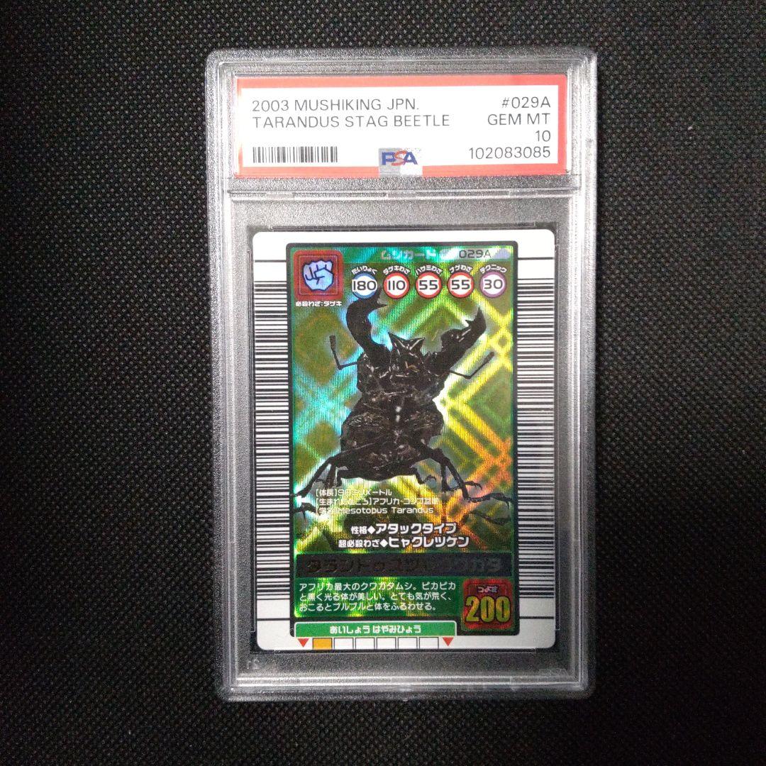 PSA10　タランドゥスツヤクワガタ　2003　AUTUMN