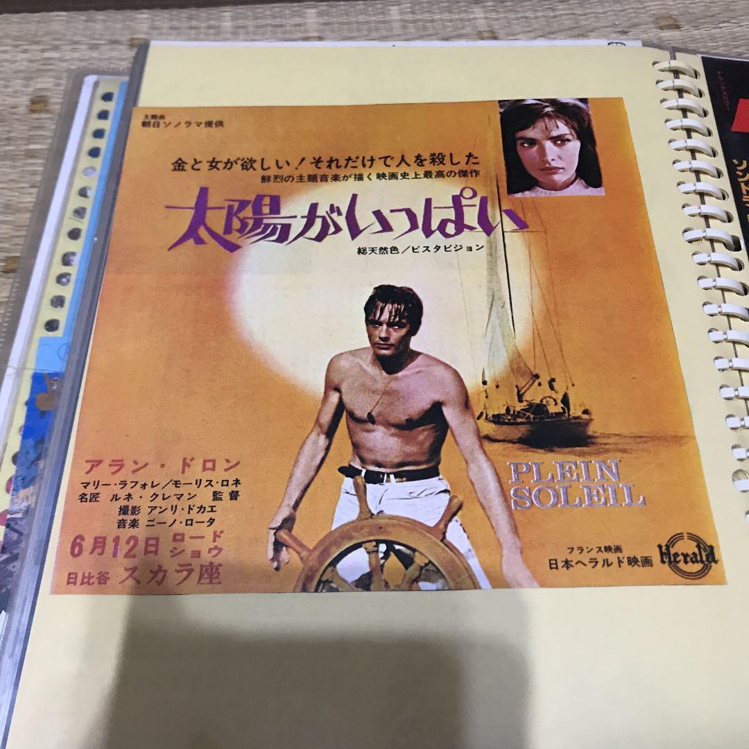 太陽がいっぱい フライヤー