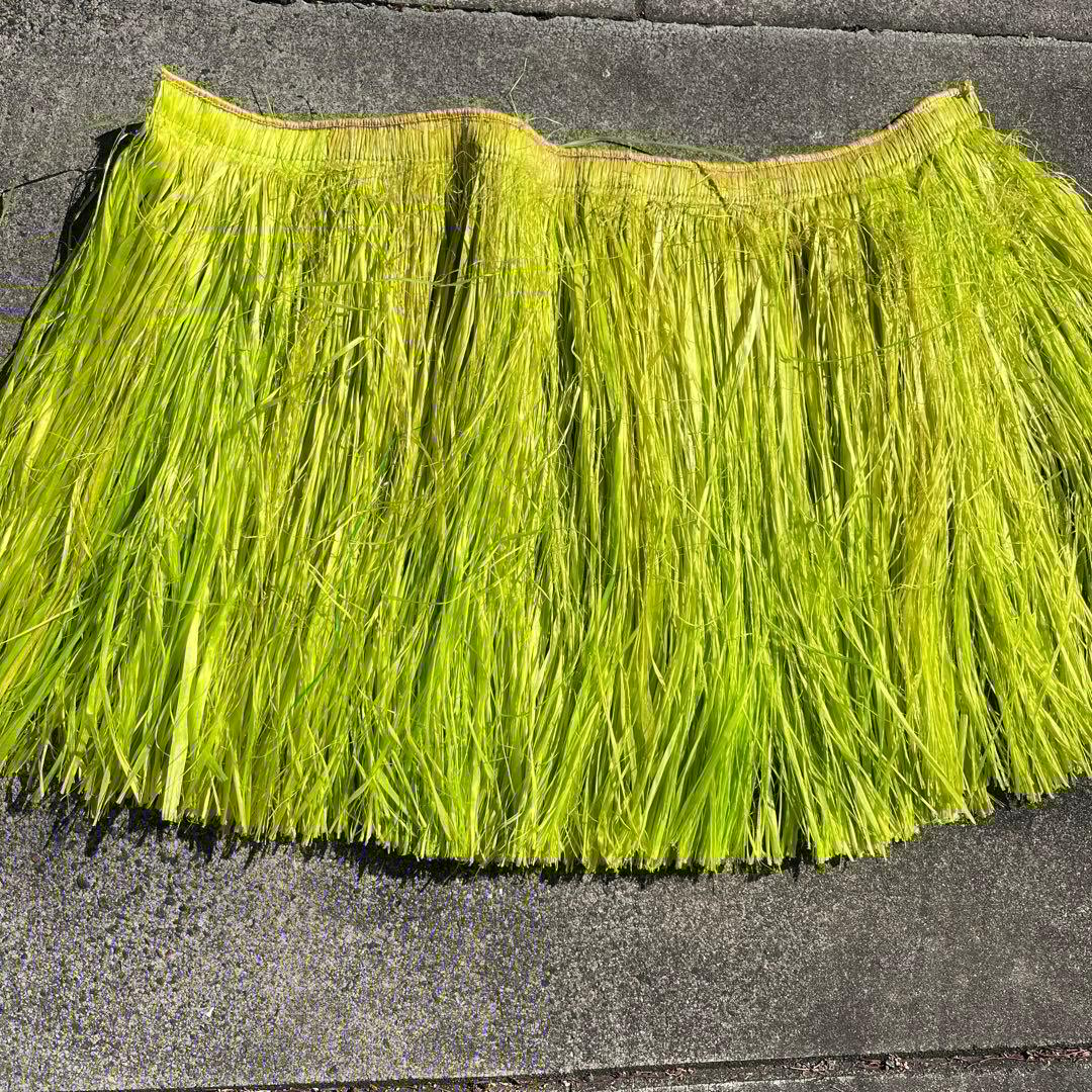 ライトグリーン　モレ