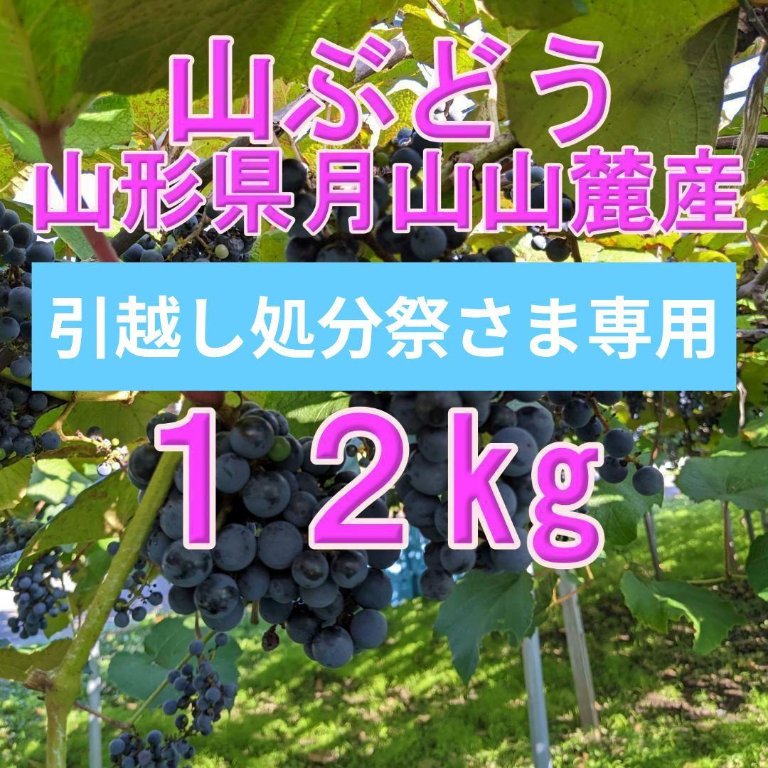 （引越し処分祭）山ぶどう １2㎏　山形県月山山麓産⑥