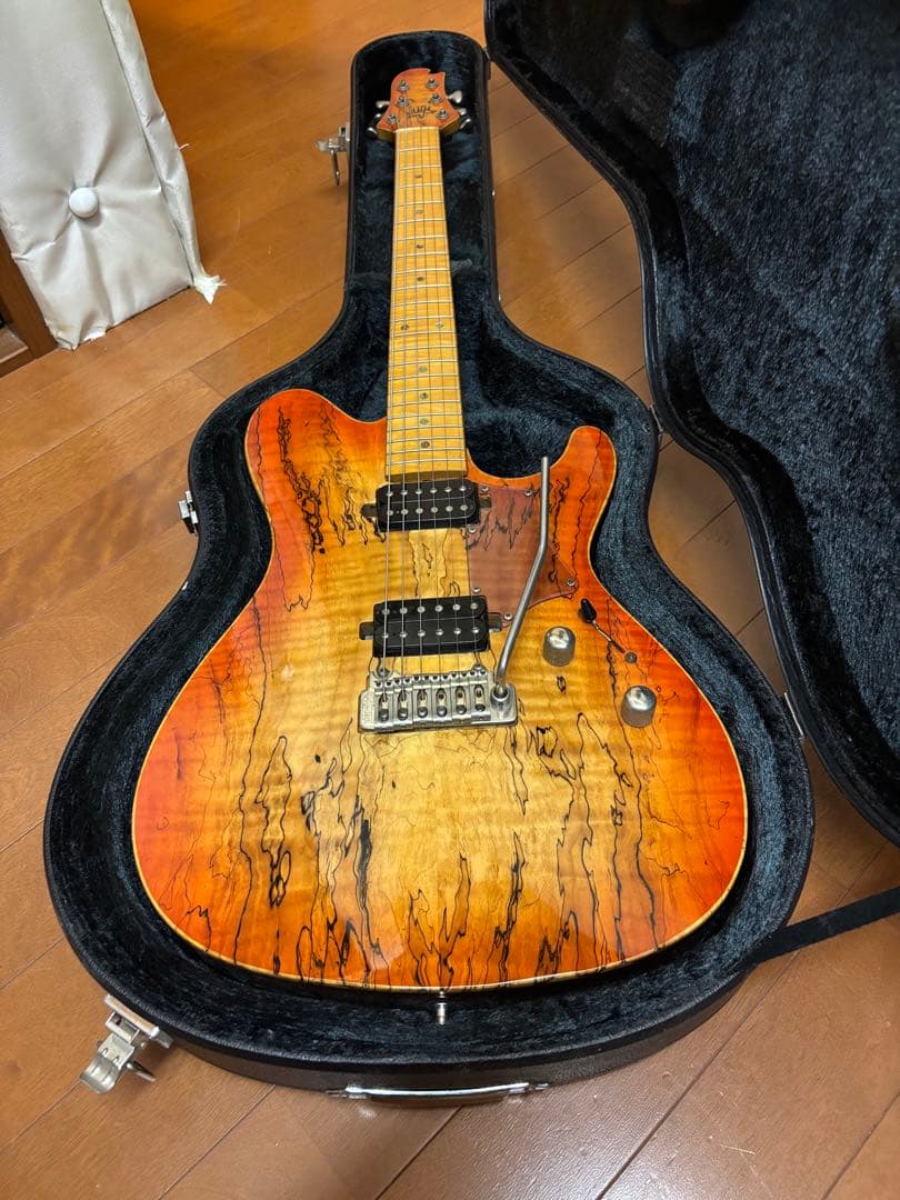 Sugi Guitars DS496 57本目の初期型