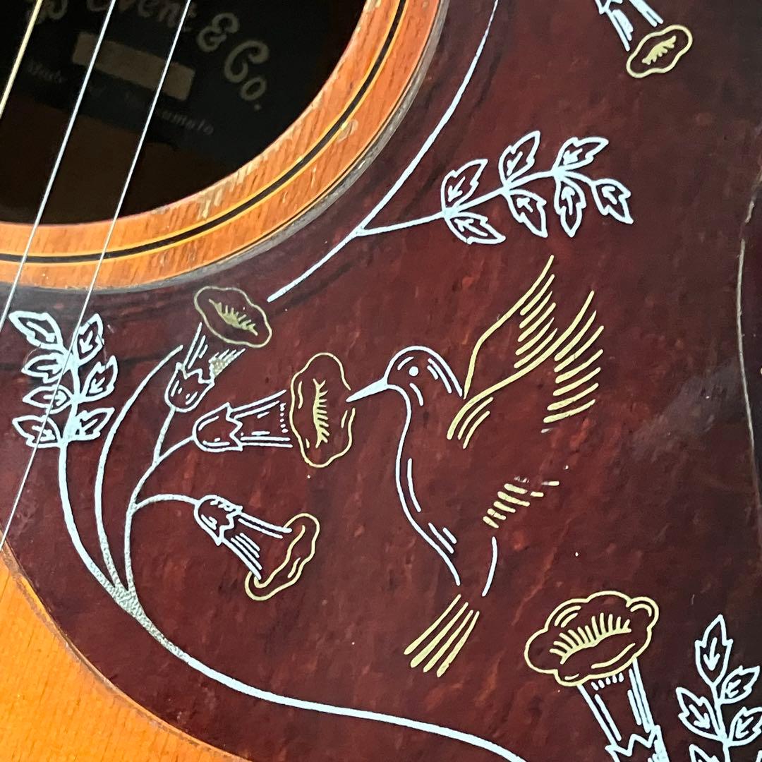 激鳴り❗️70's Jヴィンテージ❗️ハミングバード レリック加工❗️エレアコ仕様‼️