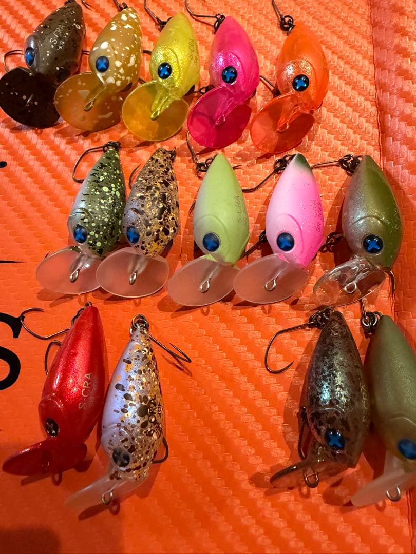 フォレスト Sクラ