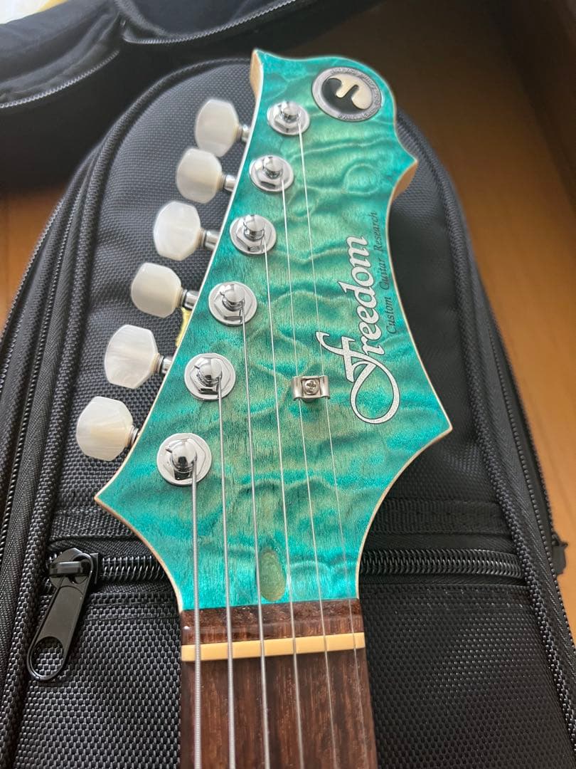 freedomcustomguitarresearchハイドラ