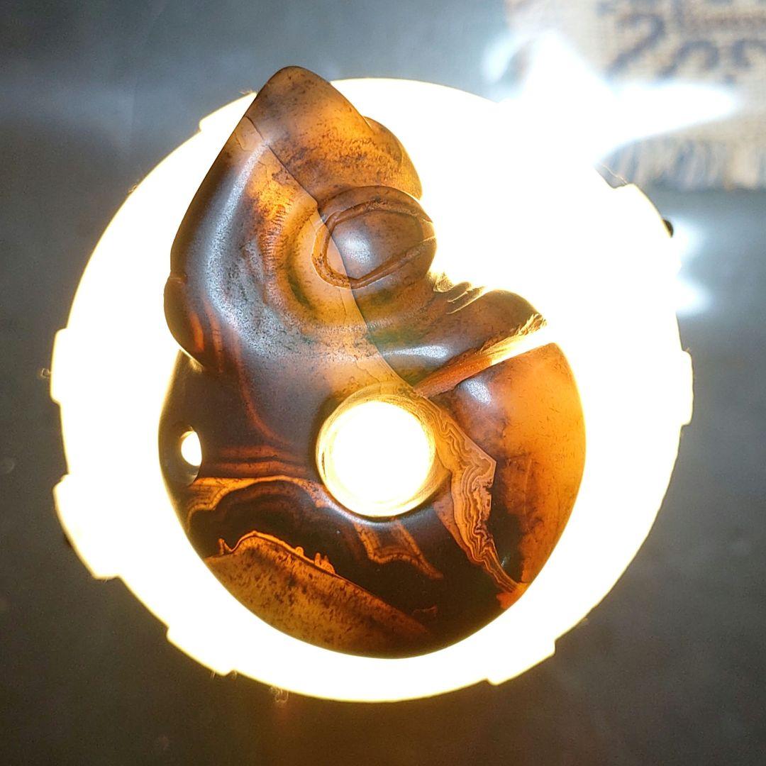 紅山文化　玉　猪龍