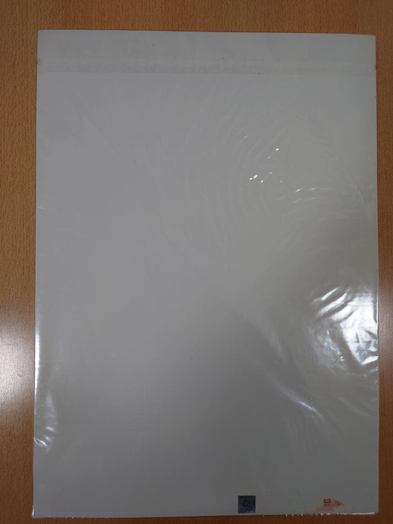 機動戦士ガンダムSEED DESTINY ミニポスター 5枚セット