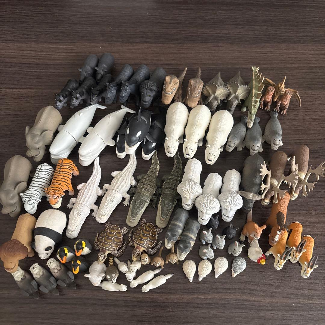 シャクレルプラネット