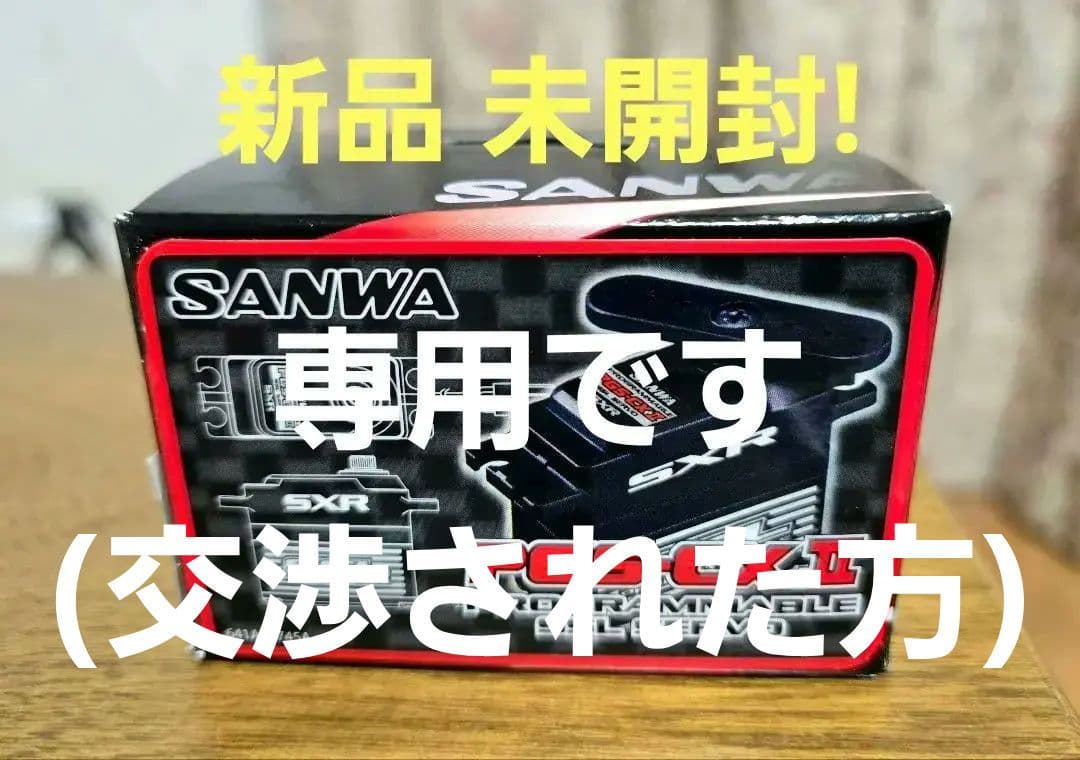SANWA サンワ PGS-CXII プログラマブルサーボ ラスト1個です